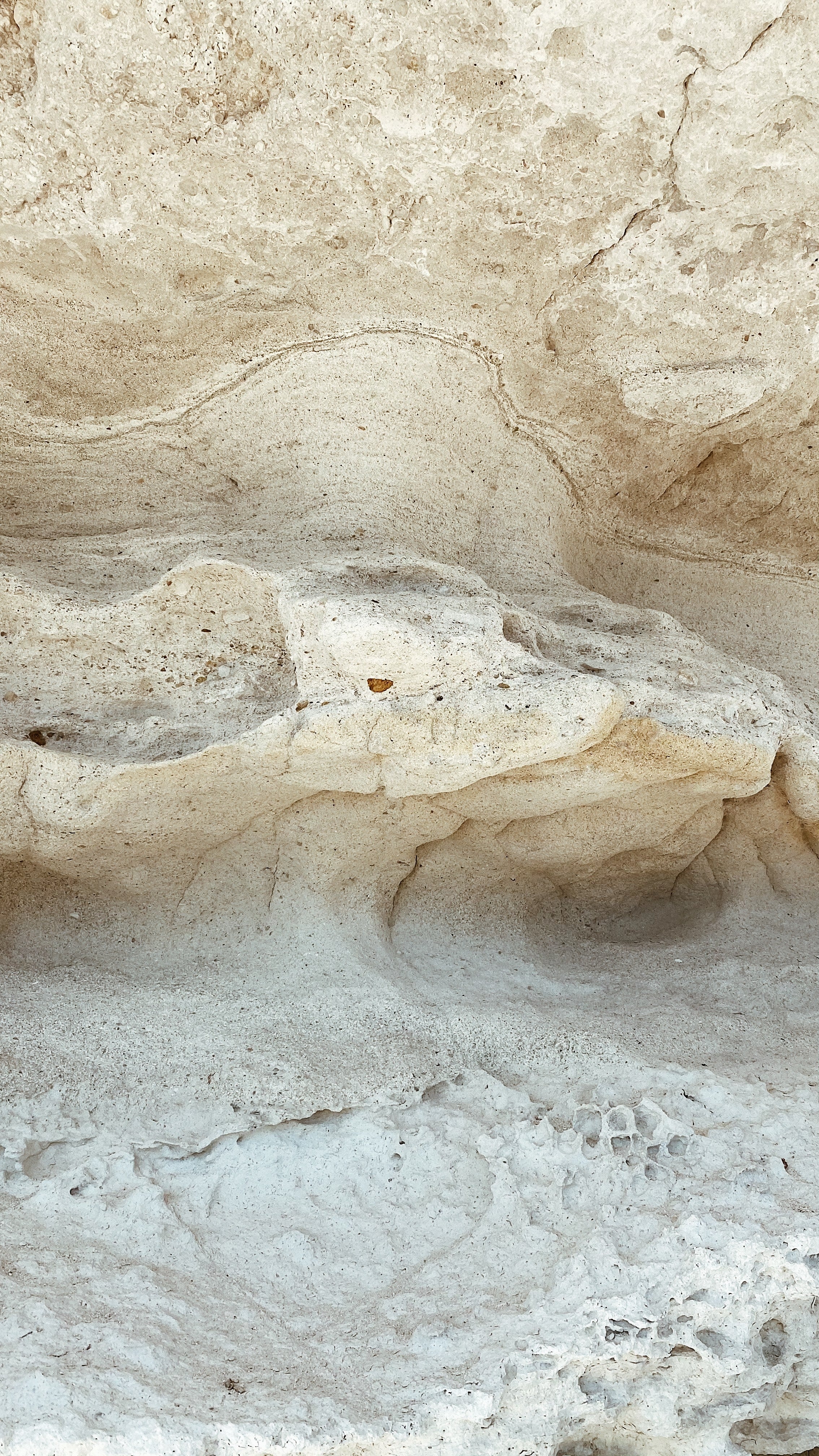 NATUR IN SEINER REINSTEN FORM