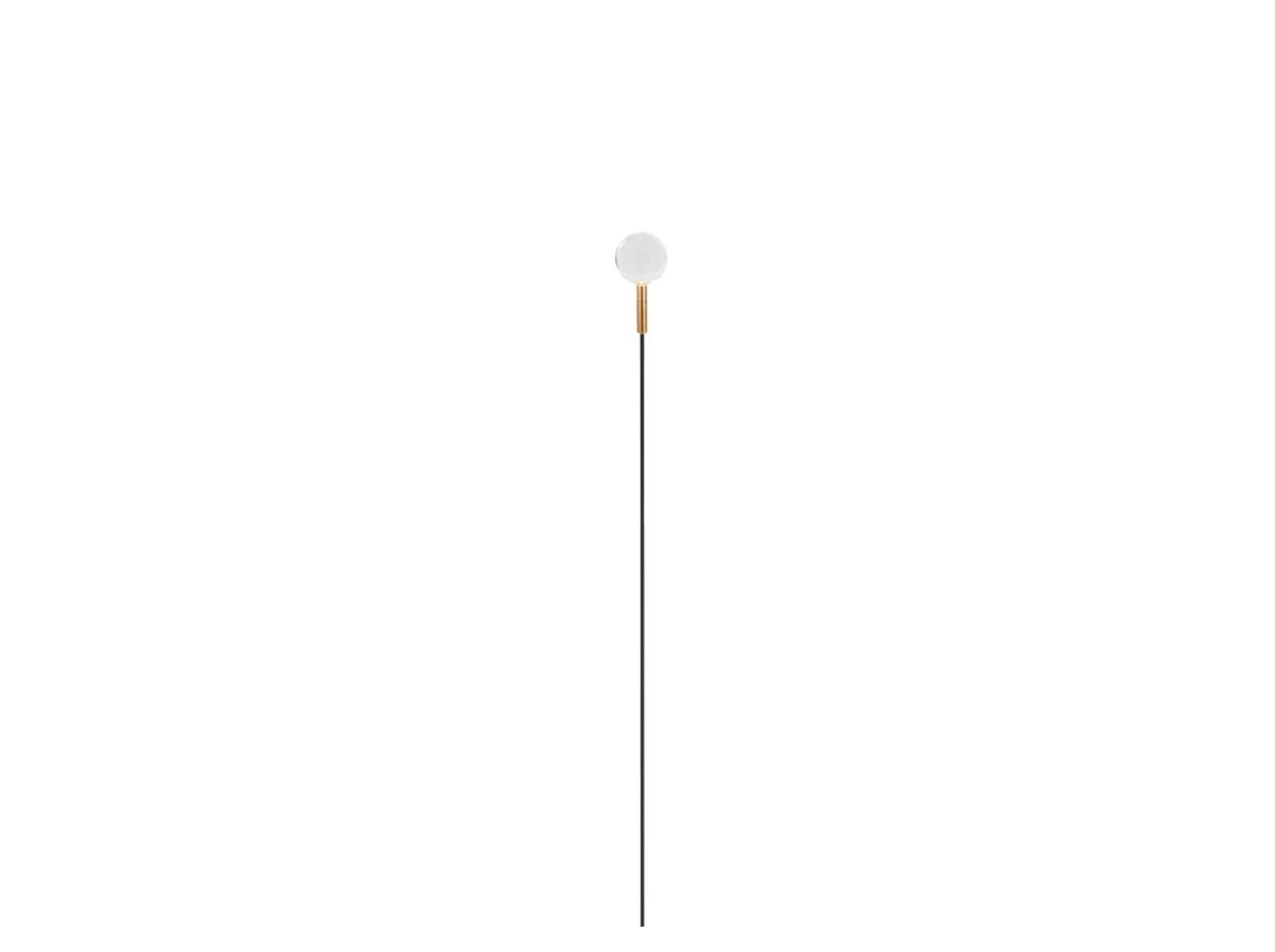 Syphasfera